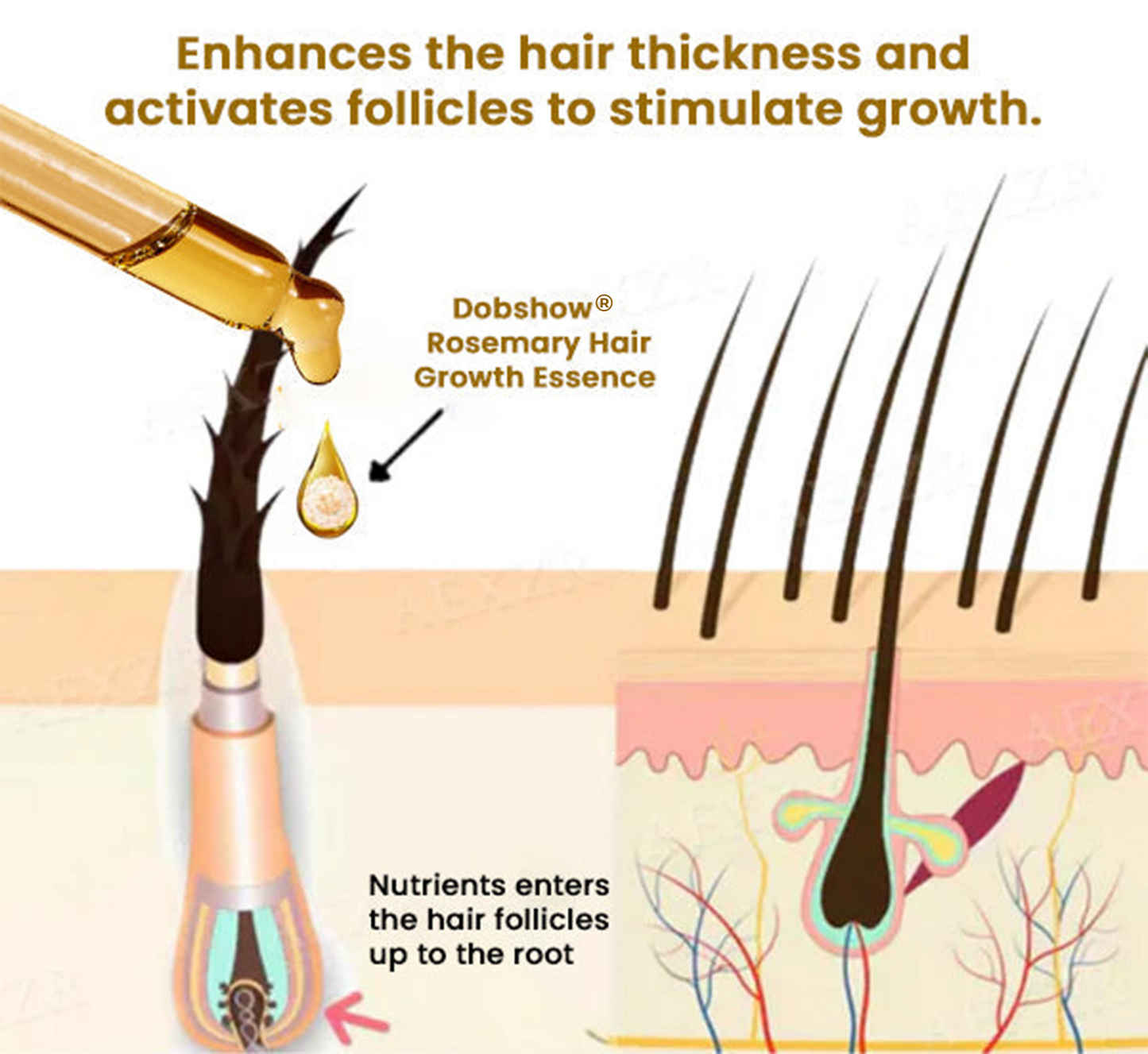 ✅Official store: Dobshow® Rosemary Hair Growth Essence