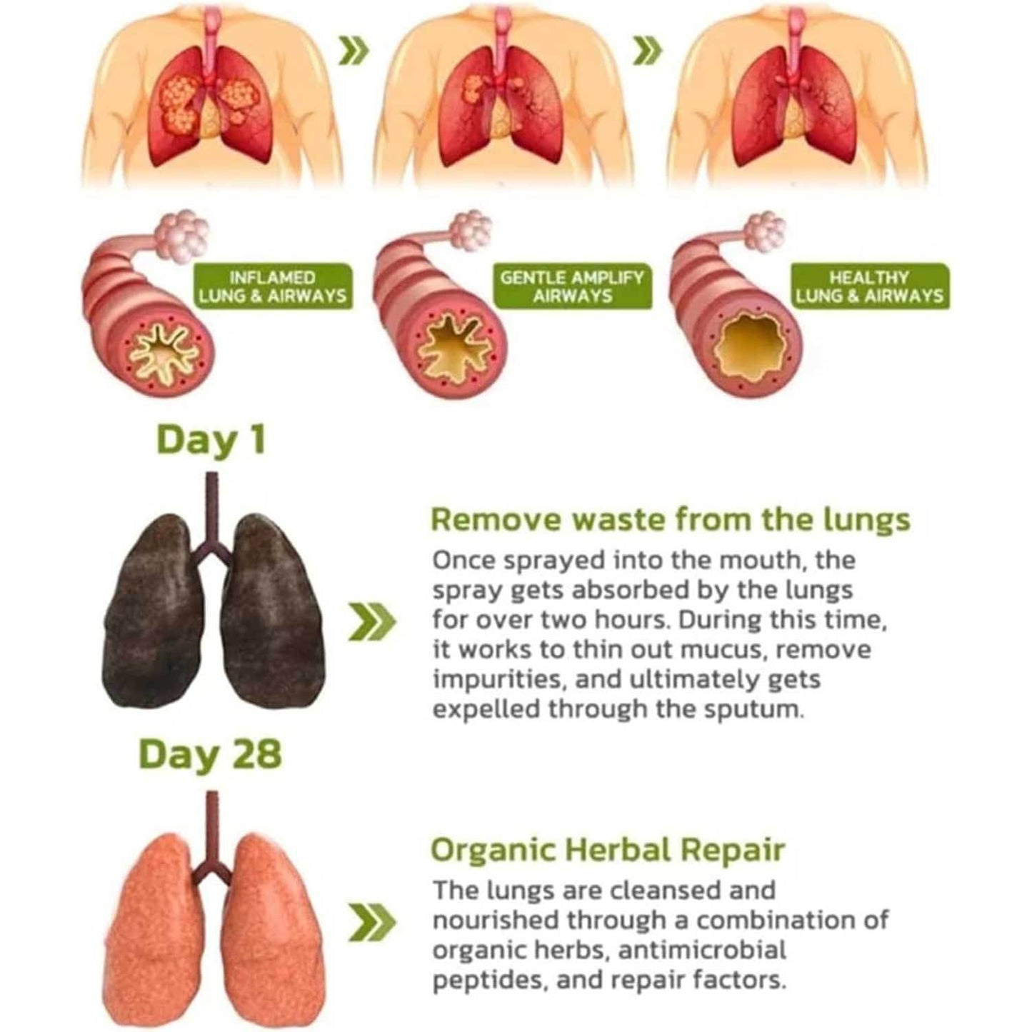 Dobshow™ Lung Cleansing Spray