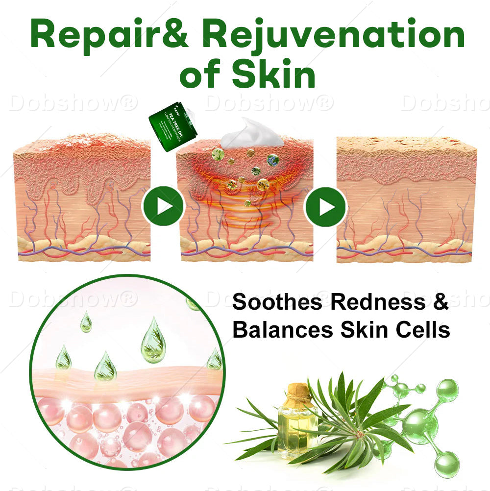 AAFQ® Tea Tree Oil Clarifying Therapy Cream – Removes Skin Blemishes, Repairs Damaged Skin, Brightens & Anti-Ageing Care