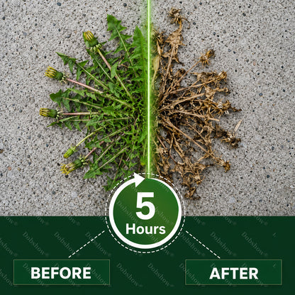 🔥Healrize® 5-Hour Max Power Dual-Action Herbicide