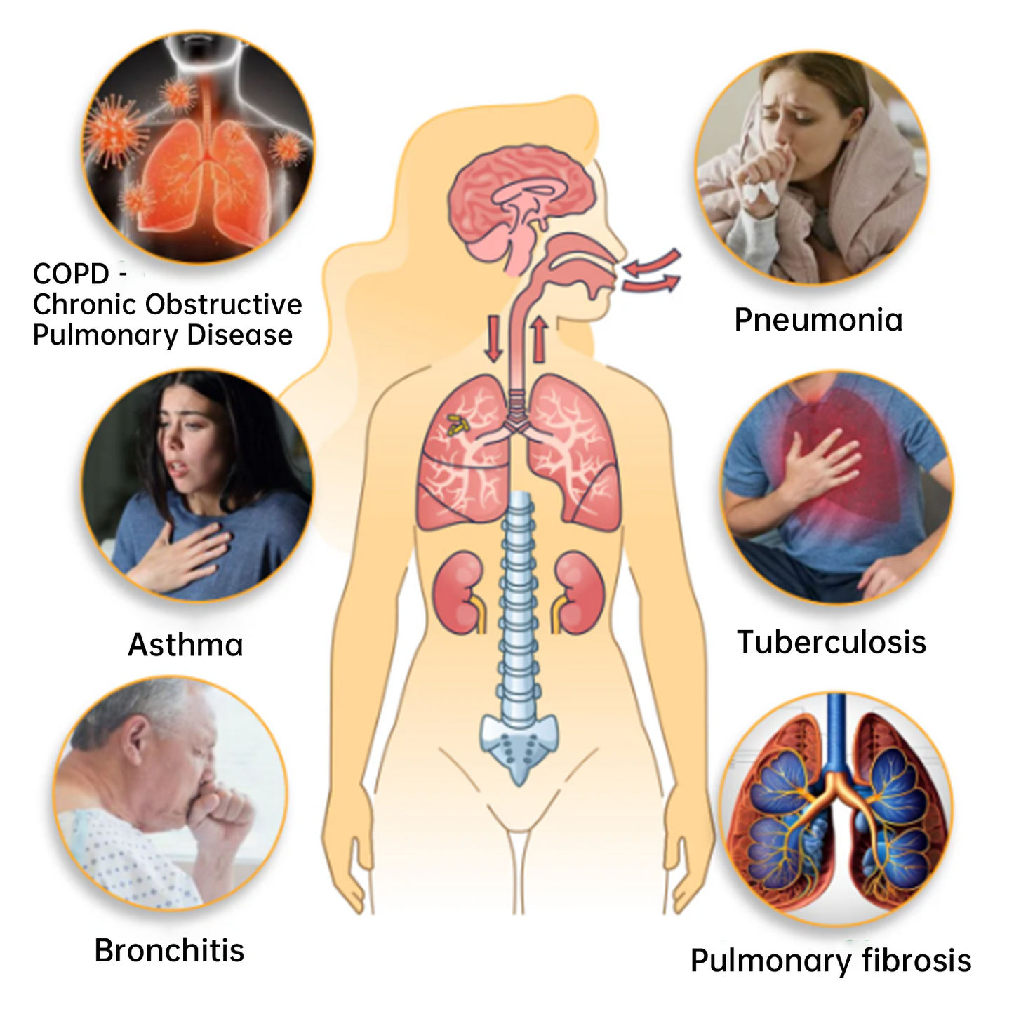 ✅official store | 🔥Dobshow™ 🧑‍⚕️herbal lung cleansing inhaler(💝Last day for 50% off💝)
